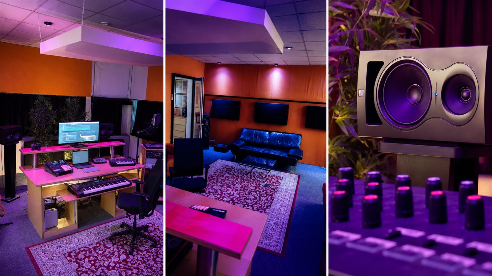 The Jungle — Tonstudio Köln